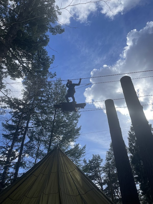 TreeZone Aerial Adventure
