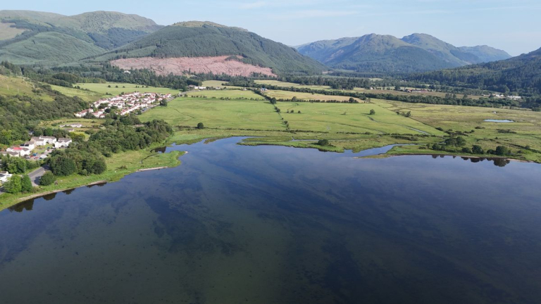 Seagrass Makes Unexpected Comeback in Holy Loch