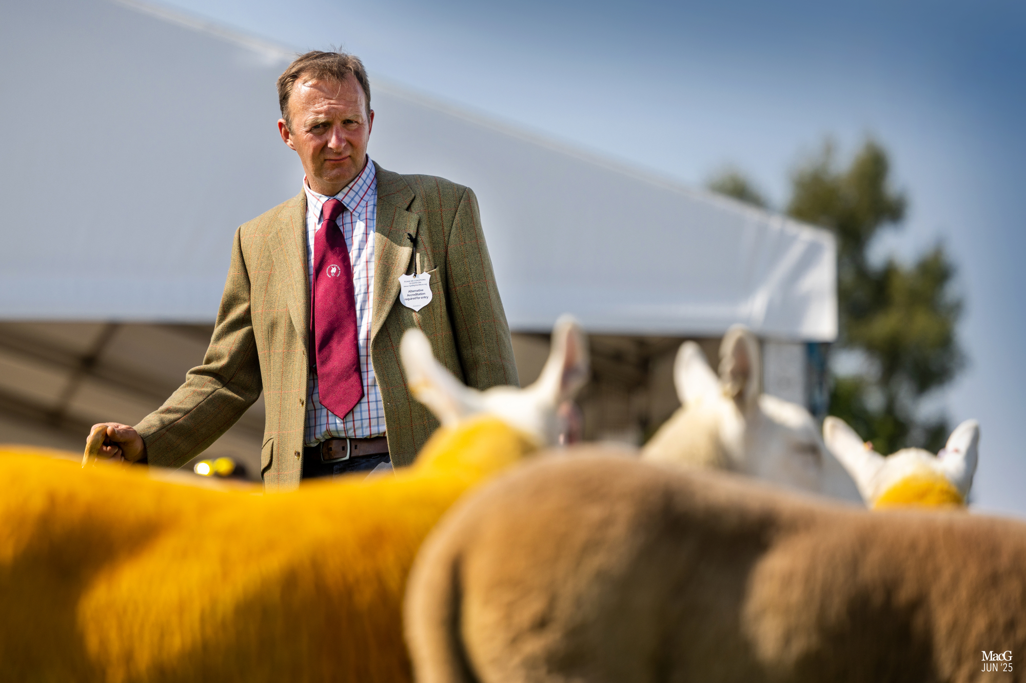 The Royal Highland Show, Edinburgh