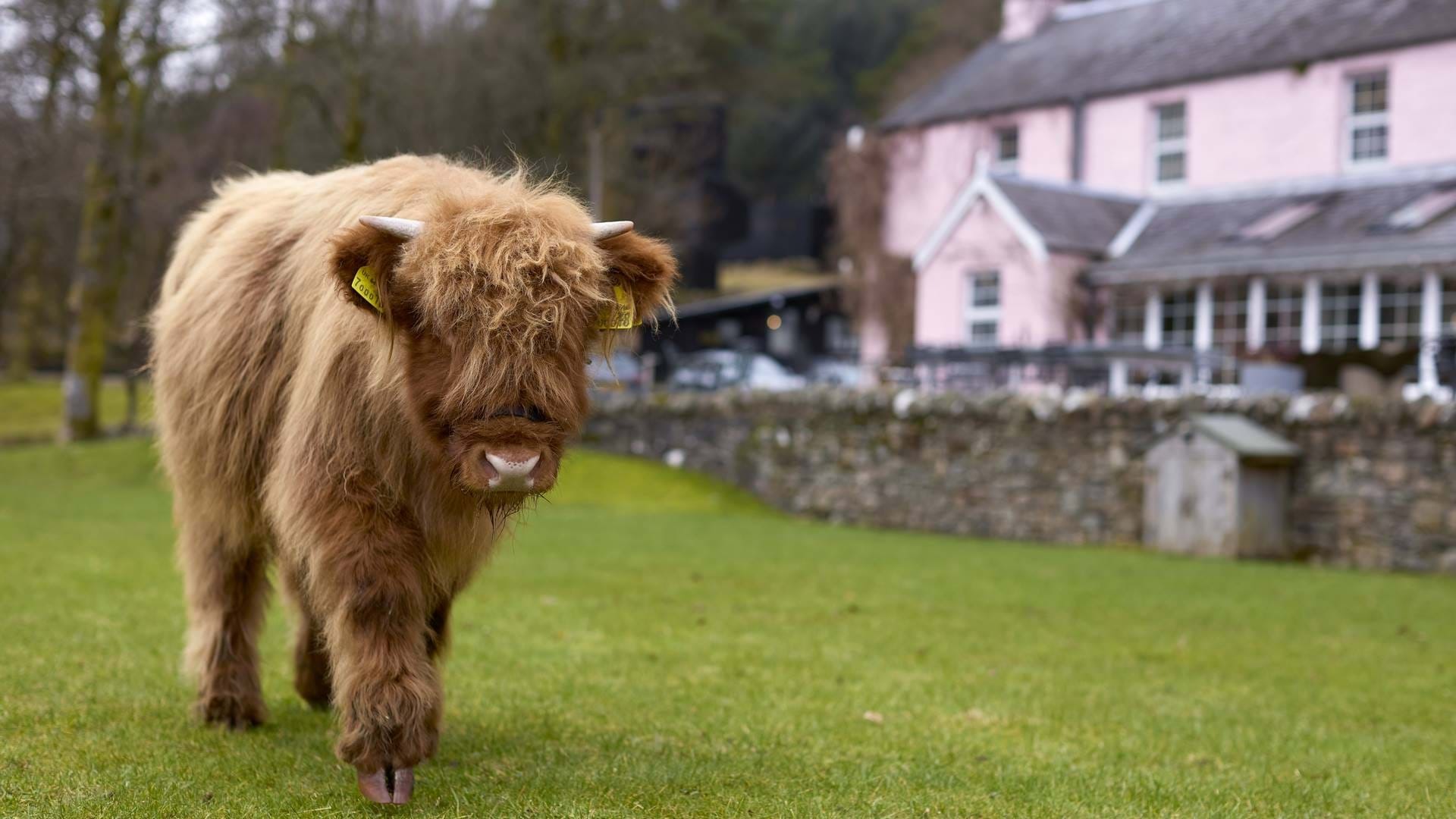 Monachyle Mhor