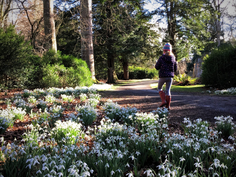 Snowdrop Day at Scone Palace