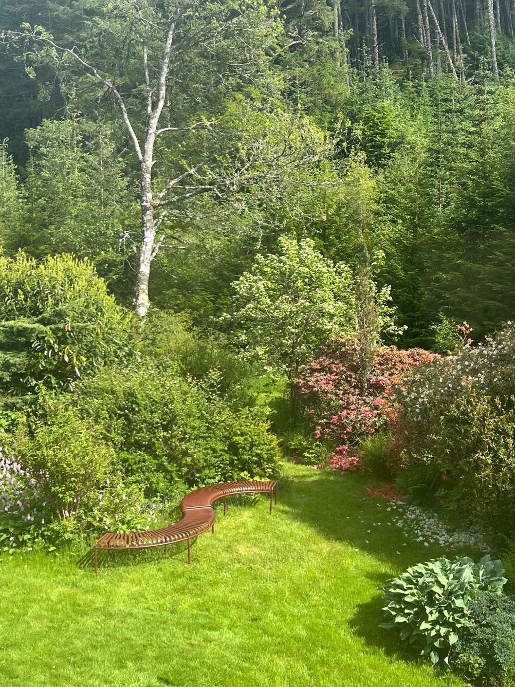 A curved wooden bench sits on a lawn edged with flowering shrubs, tall trees rising behind.
