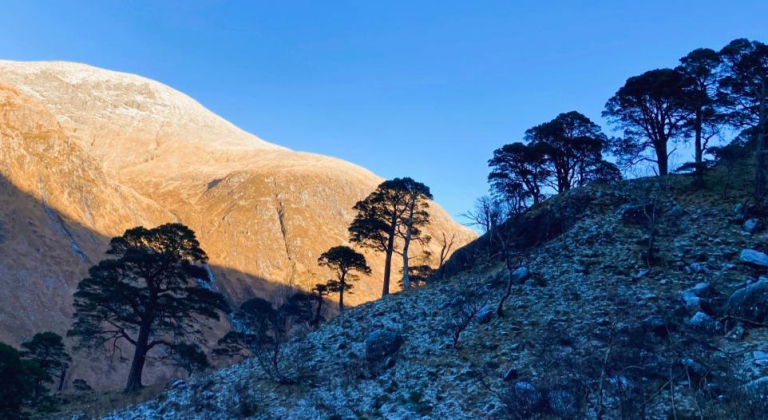 'Biggest shift in land use in a lifetime:' Woodland plan for Ben Nevis