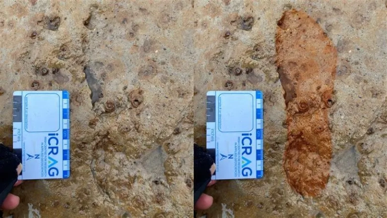 Dog walkers discovered 2,000-year-old beach footprints