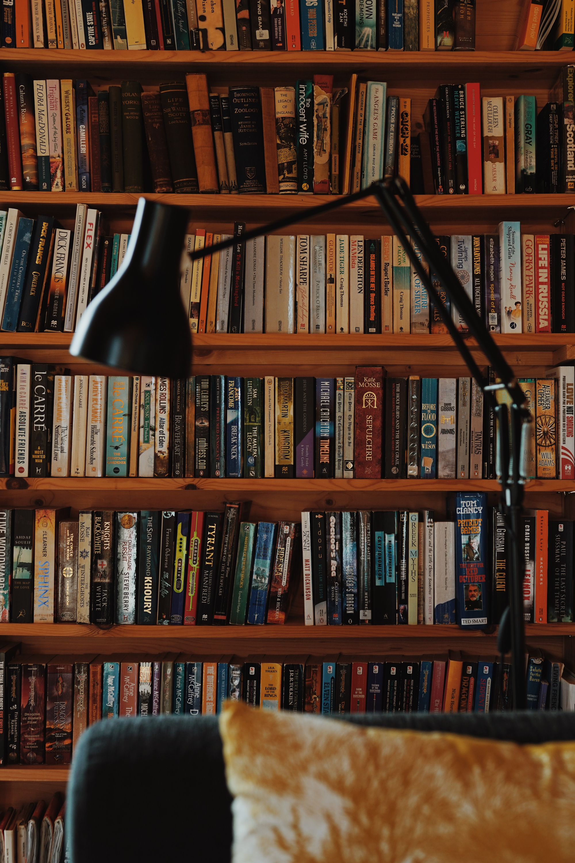 Rows of books fill wooden shelves, an angled reading lamp positioned over a corner cushion below.