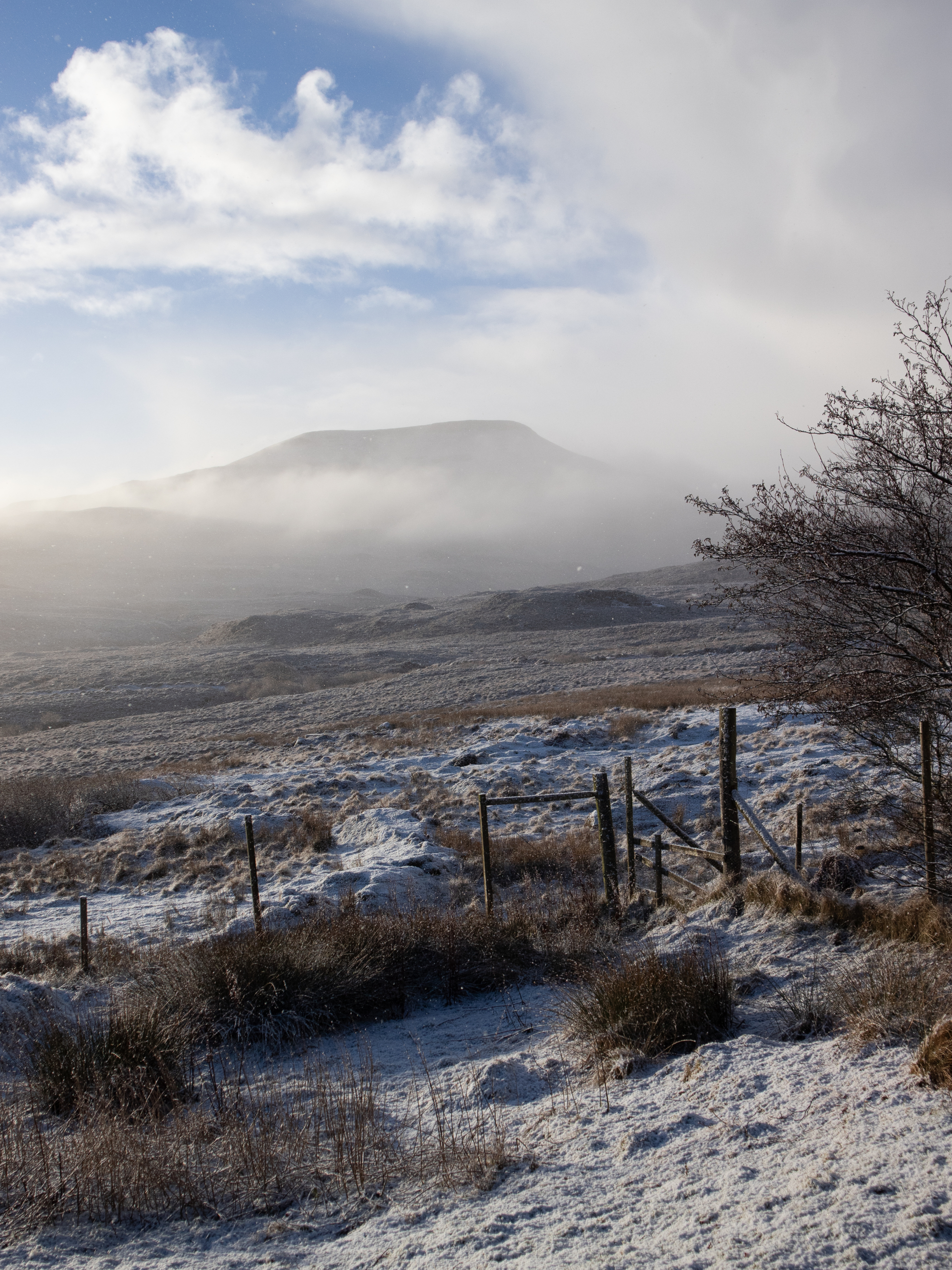 Mist clings to a hillside above a frosted moorland, a fence and bare shrub in the foreground.