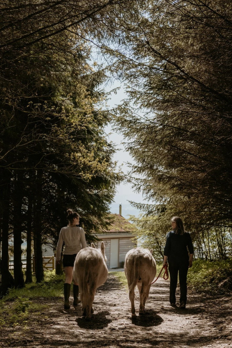 Easter at Guardswell Farm