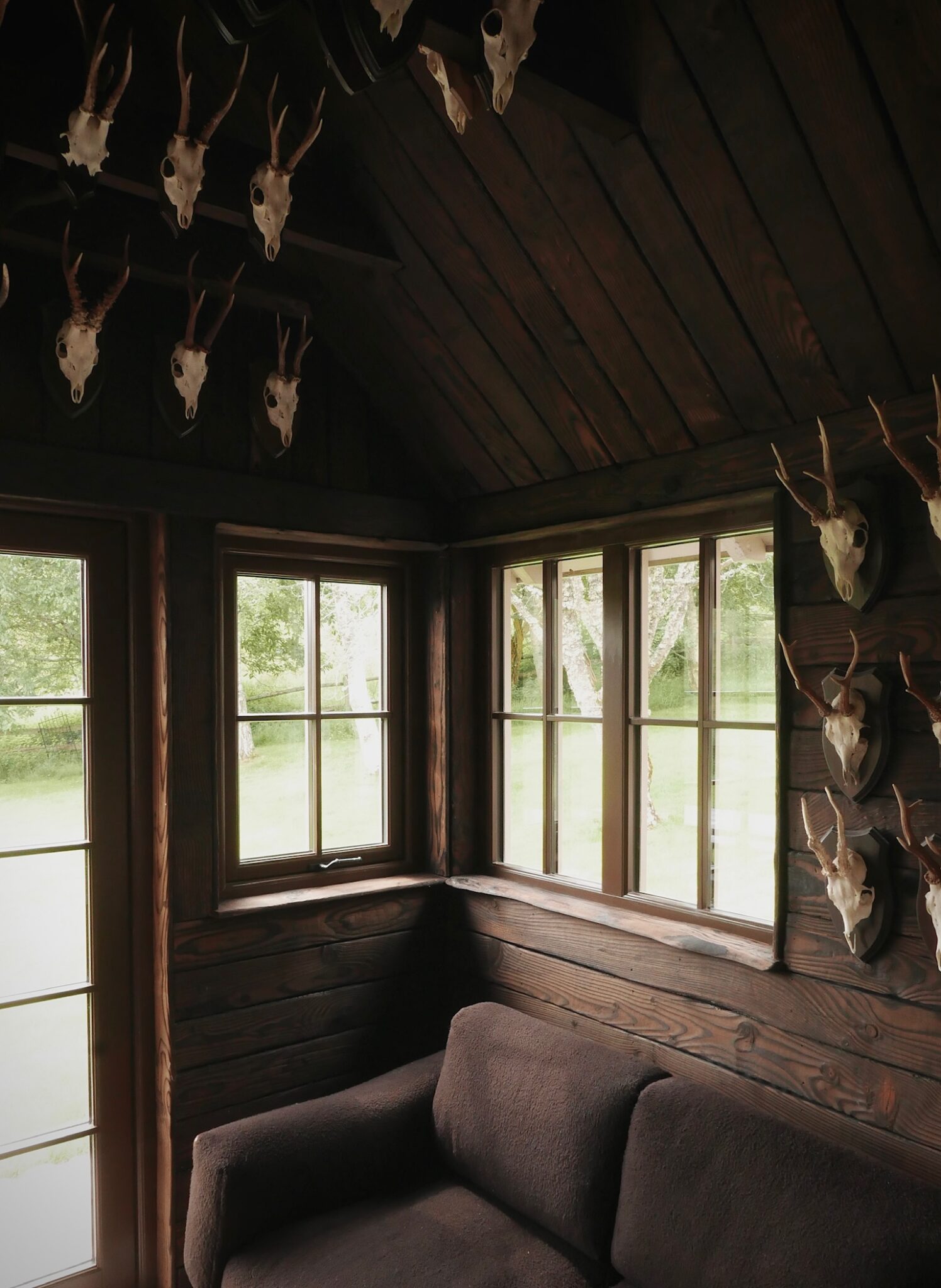 Rows of antlers and animal skulls hang from the beams and walls of a timber cabin, a brown sofa facing windows onto greenery.