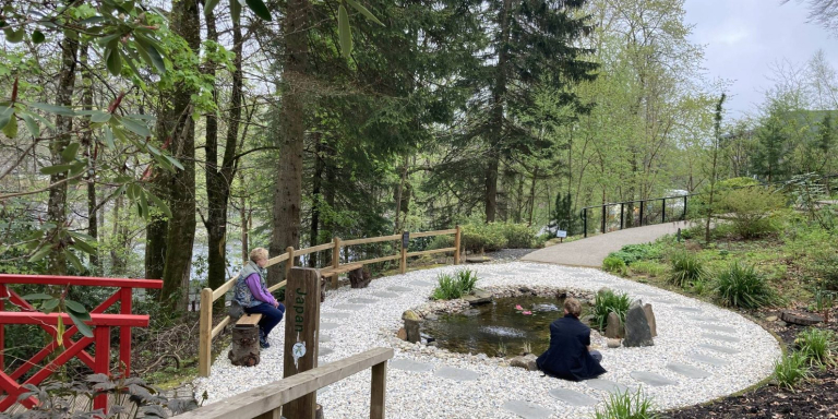 Spring Forest Bathing