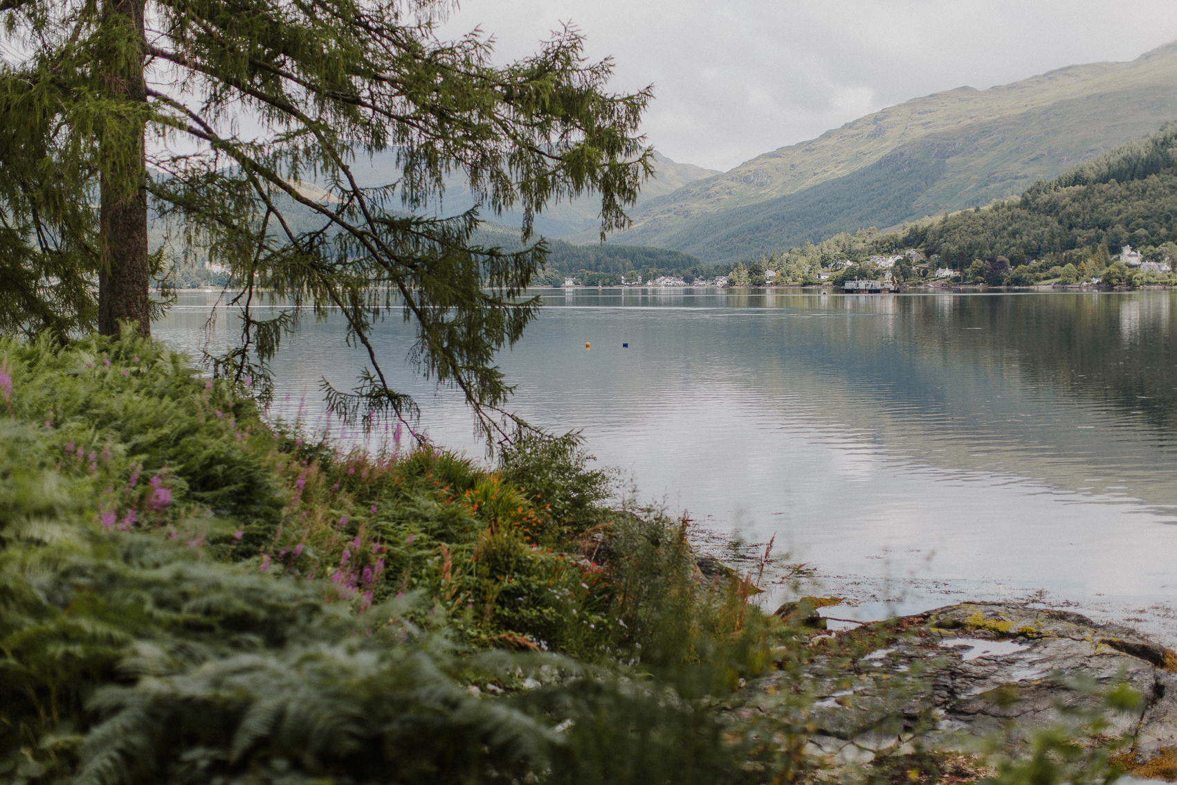 A loch reflects wooded hills and a distant village, pink fireweed and ferns lining the rocky shore in the foreground.