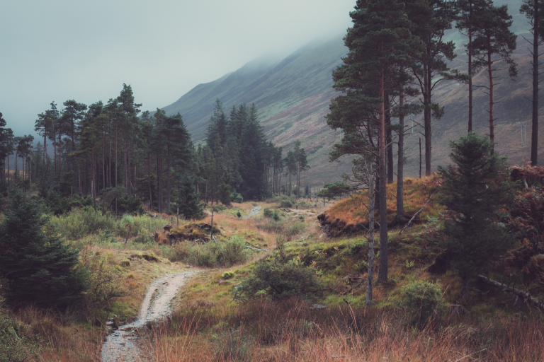 Cromlix: Autumn Appreciation