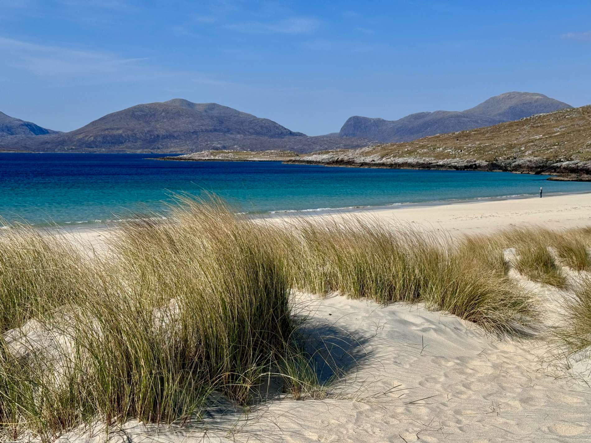 Marram grass grows over sand dunes above a turquoise bay backed by hills.