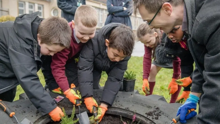 Wild spaces for butterflies to be created in Glasgow