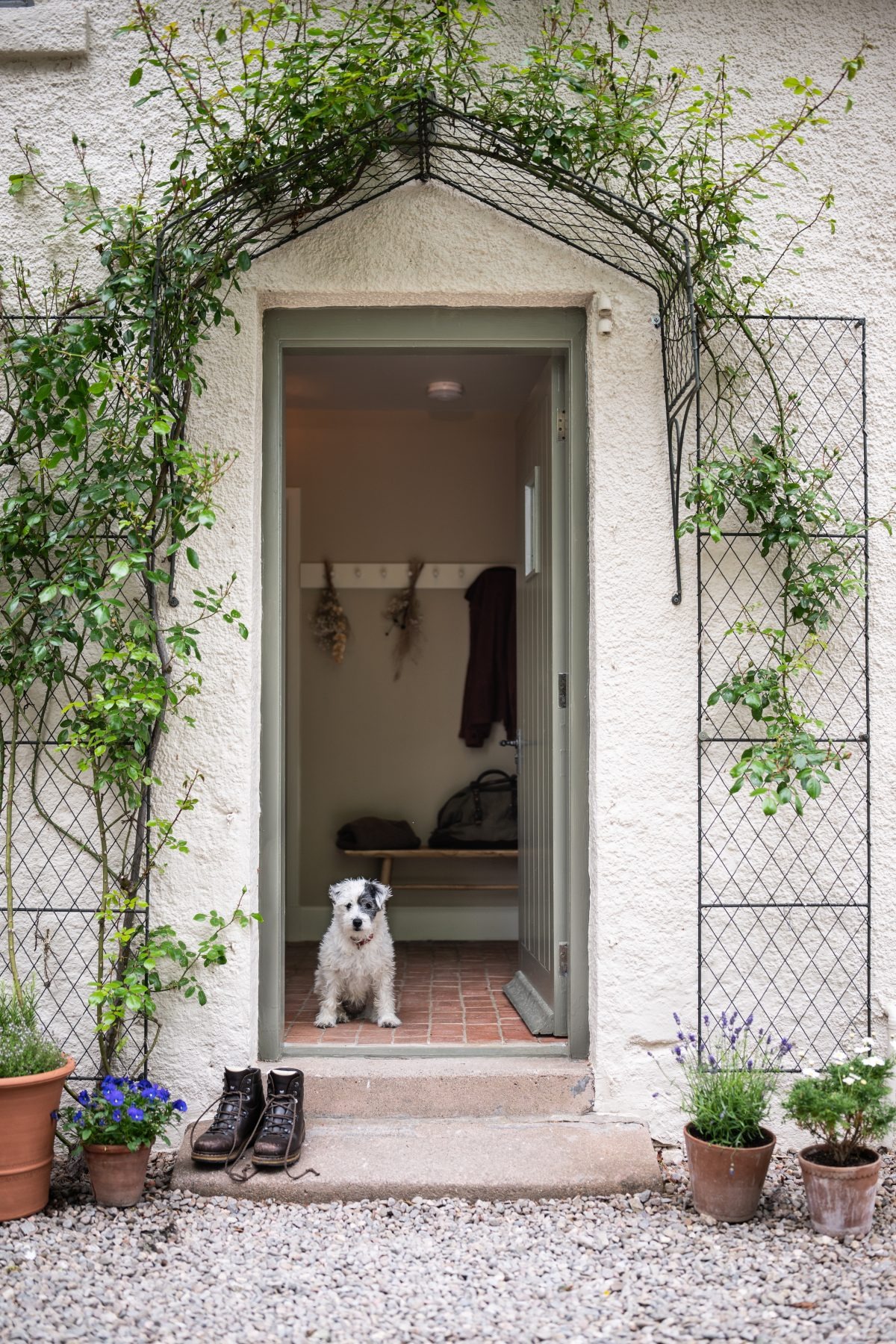A dog sits in a doorway framed by climbing roses, walking boots and potted plants either side of the step.