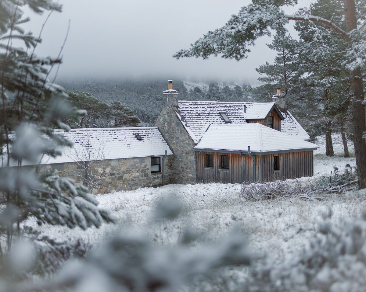 A stone and timber cottage sits in a snow-covered clearing among pine trees, smoke rising from its chimney.