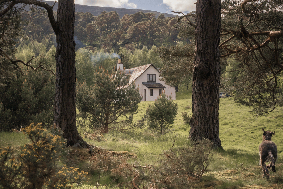 Coire Domhain Cottage