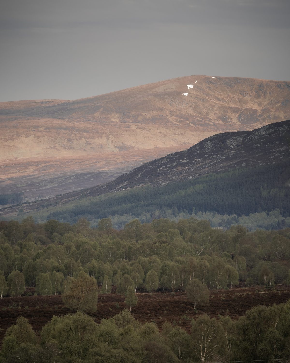 Layered hills rise above a valley of birch woodland, snow patches visible on the distant peak.
