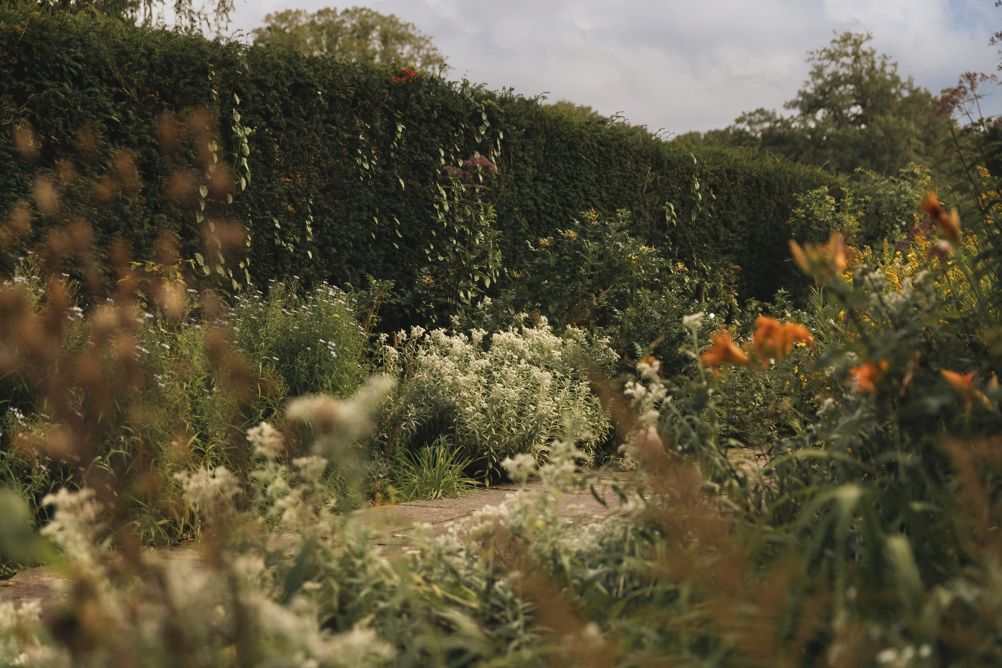 A gravel path winds between flowerbeds of daisies and orange lilies towards a clipped hedge.