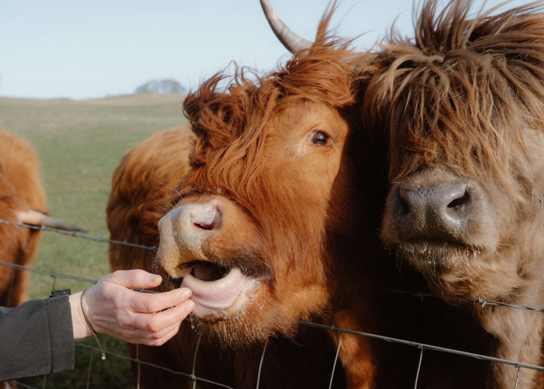 The Best Places to Stay on a Scottish Estate or Farm