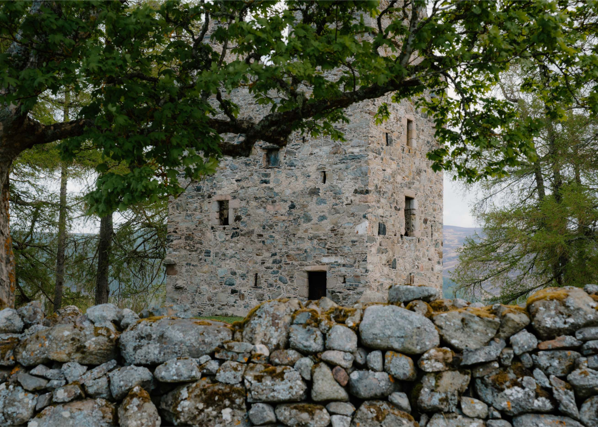 Image One