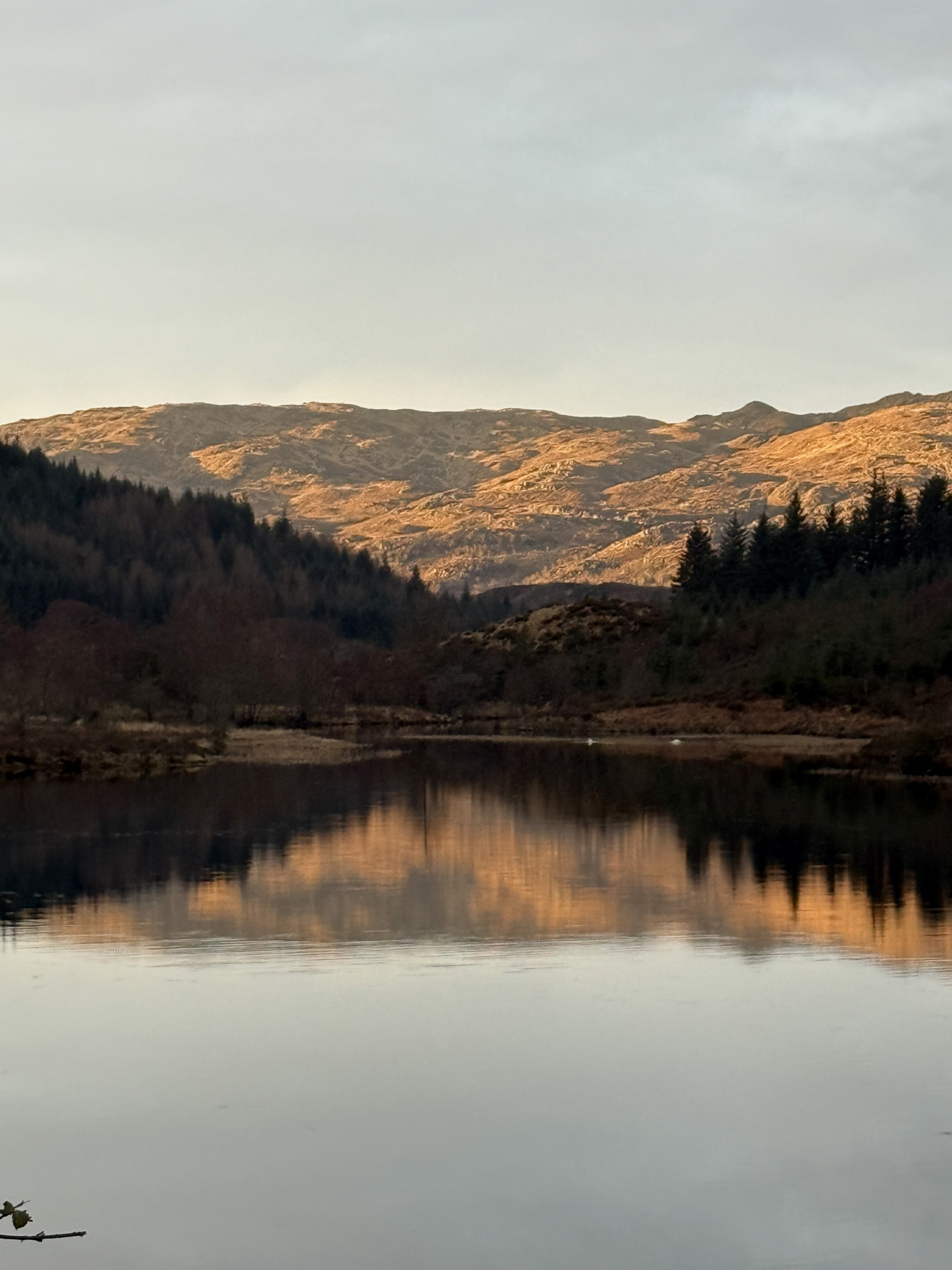 A loch reflects golden evening light on the hills above, pine trees lining its banks.