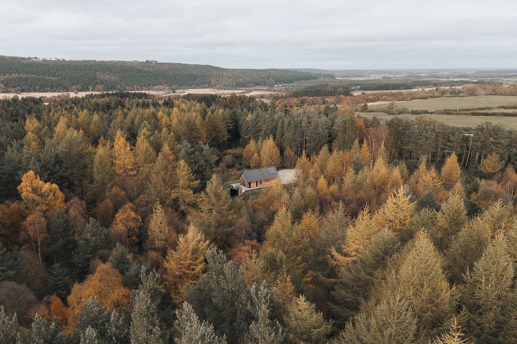 An aerial view of the timber cabin's dark roof, almost hidden among autumn pines and larches.