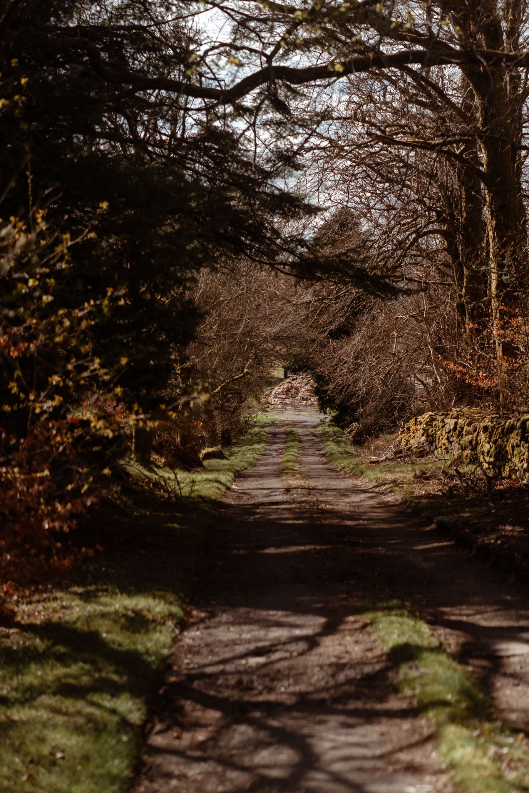 A gravel path lined by dry stone walls winds beneath overhanging bare trees.