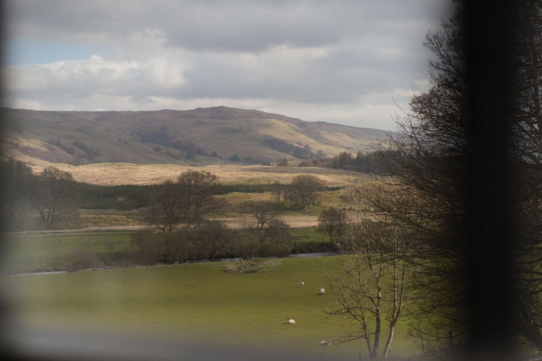 Layered hills rise beyond a river winding through a grazed field, seen through a window with bare branches in the foreground.