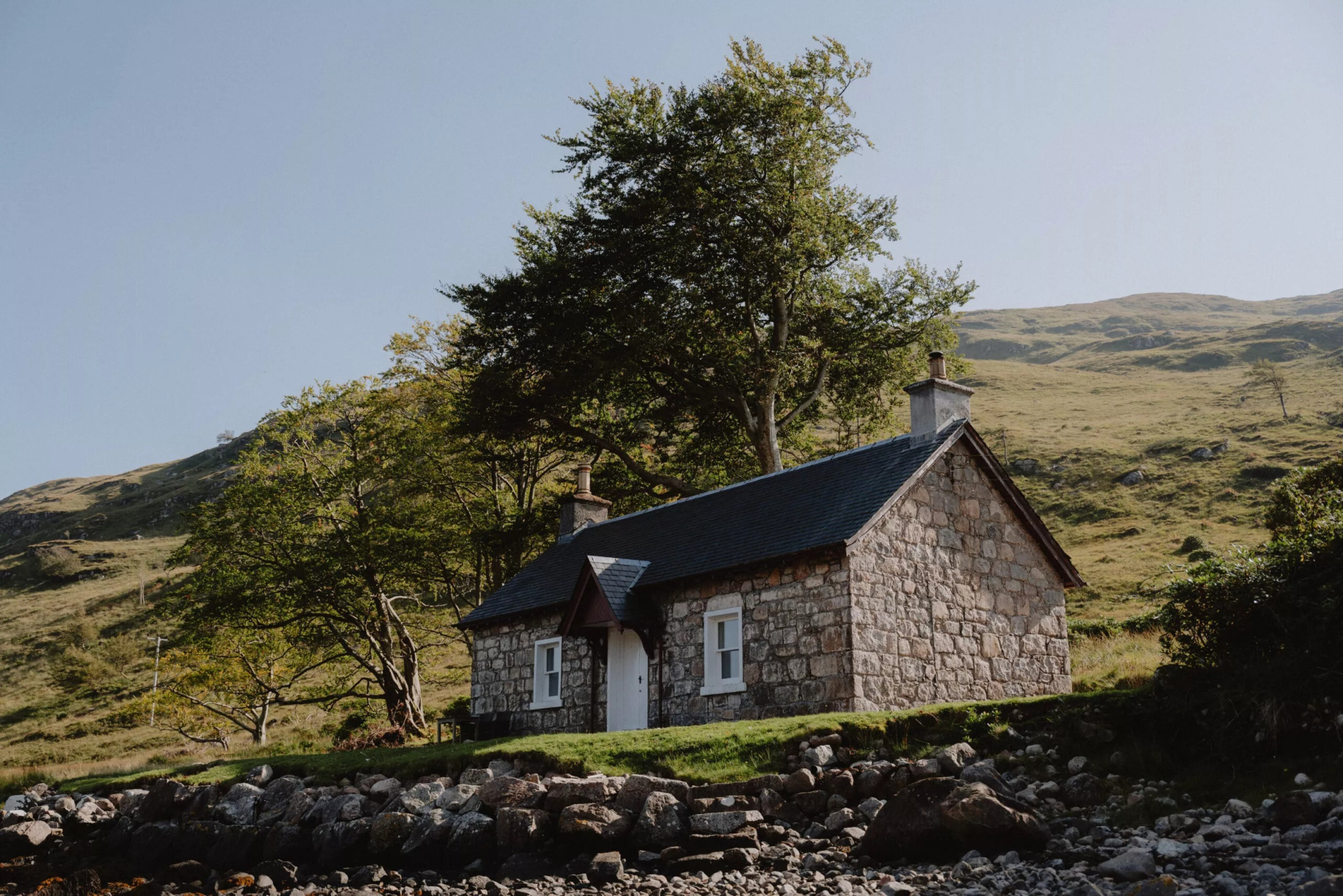 A stone cottage with a black door sits beneath a large tree on a rocky shore, heather-covered hills rising behind.