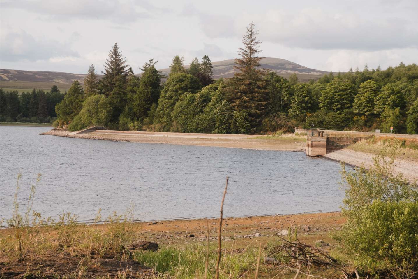 A reservoir edged by conifers curves towards a small dam, hills visible in the distance.