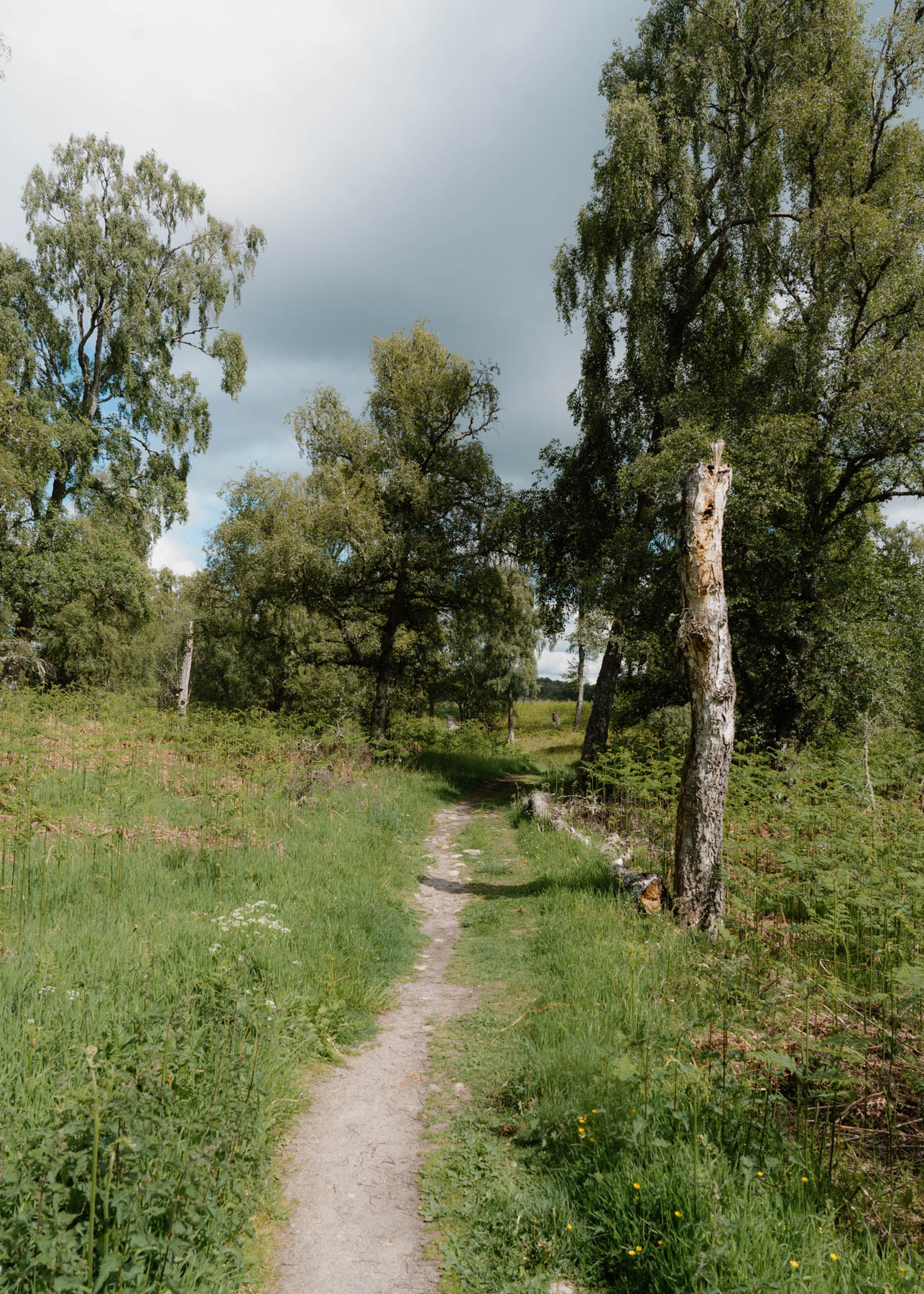 Image Two