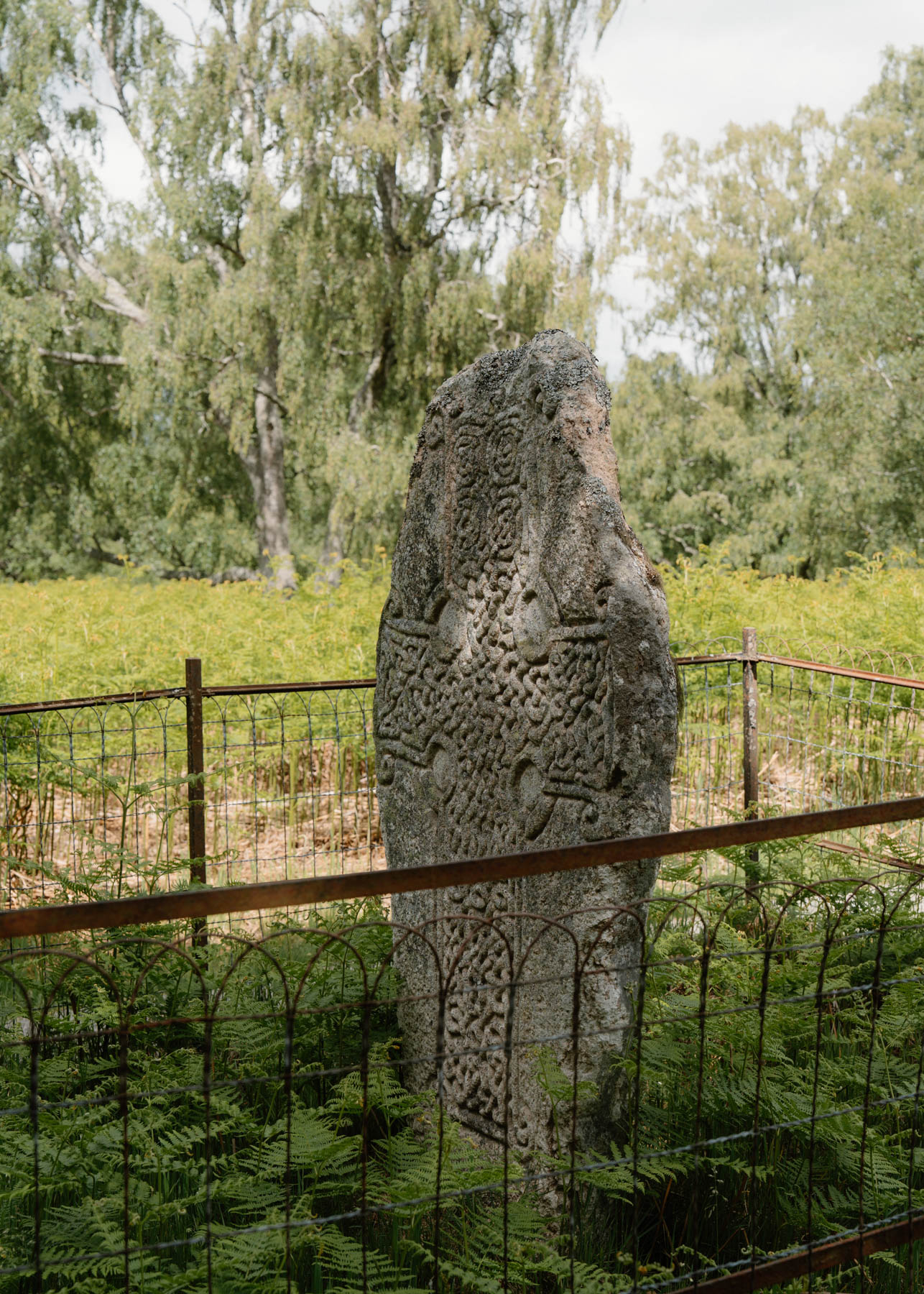 Image One