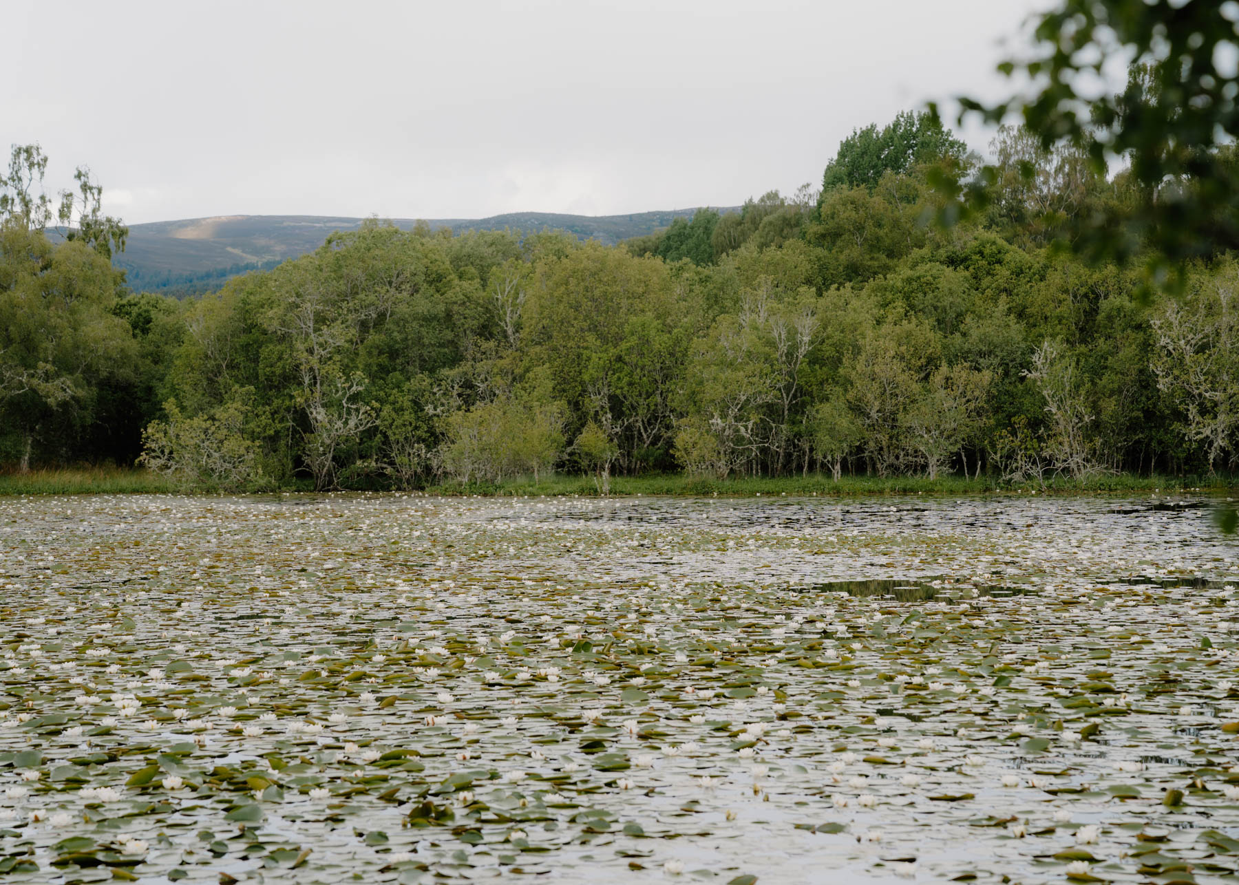 Loch Kinord, Aberdeenshire