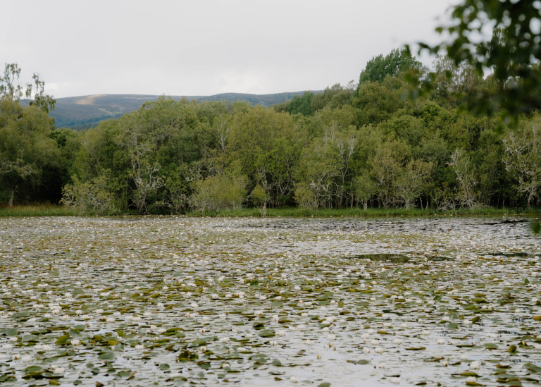 Loch Kinord