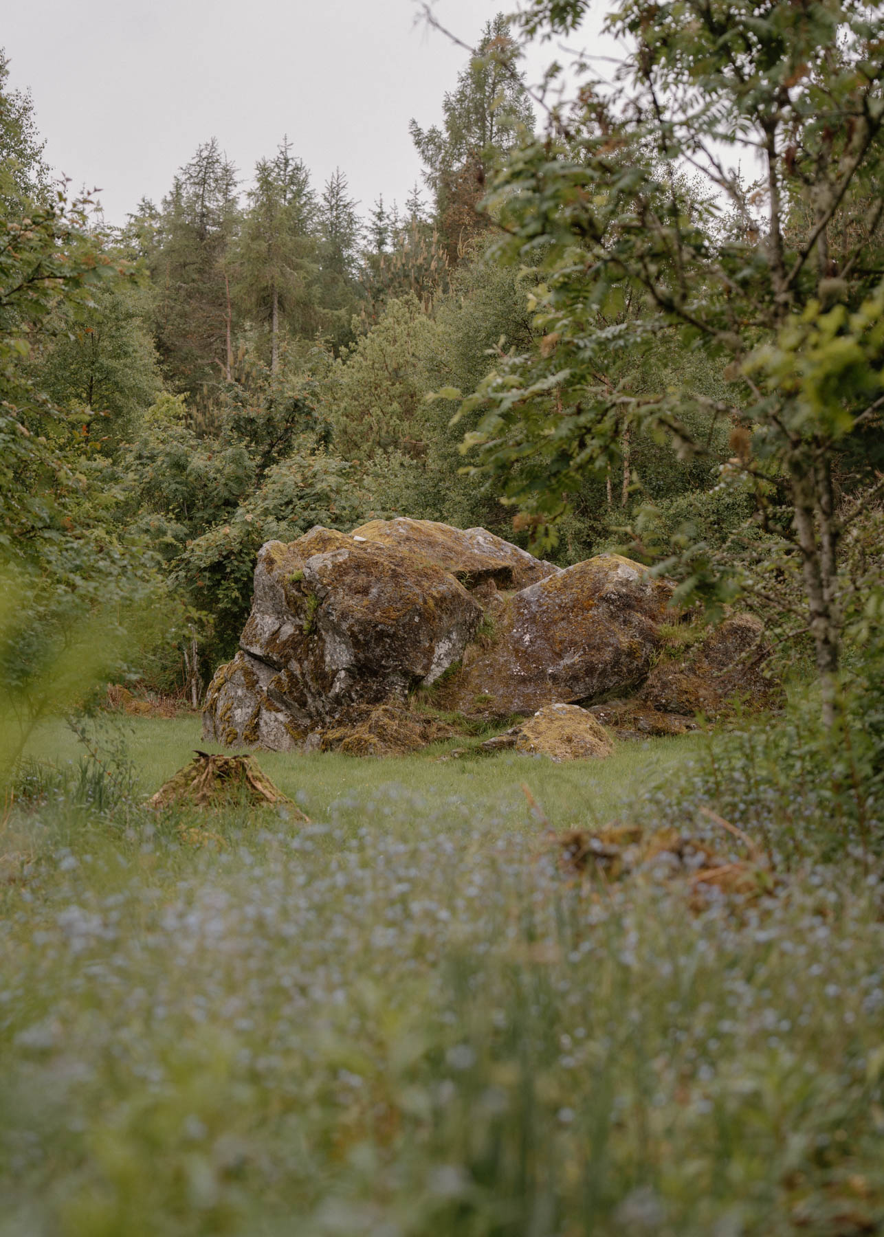 Image Two