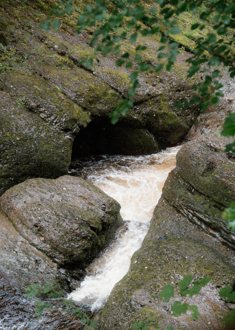Cargill’s Leap