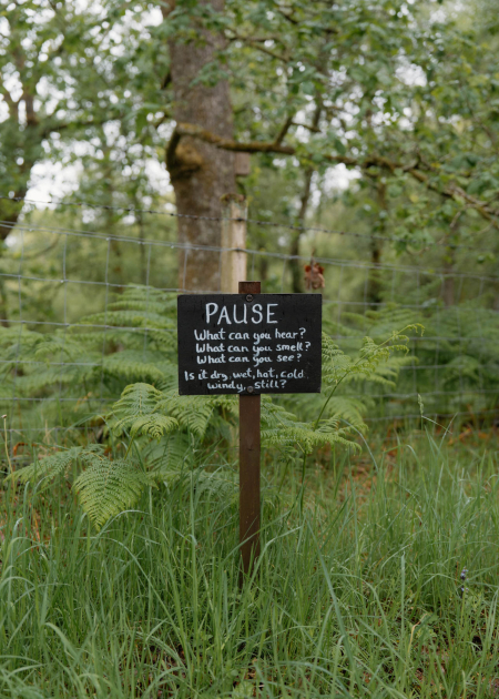Loch of the Lowes Wildlife Reserve, Perthshire