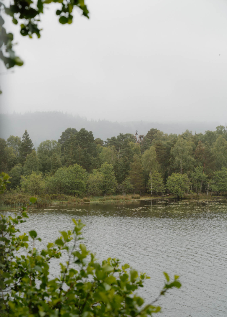 Loch of the Lowes Wildlife Reserve