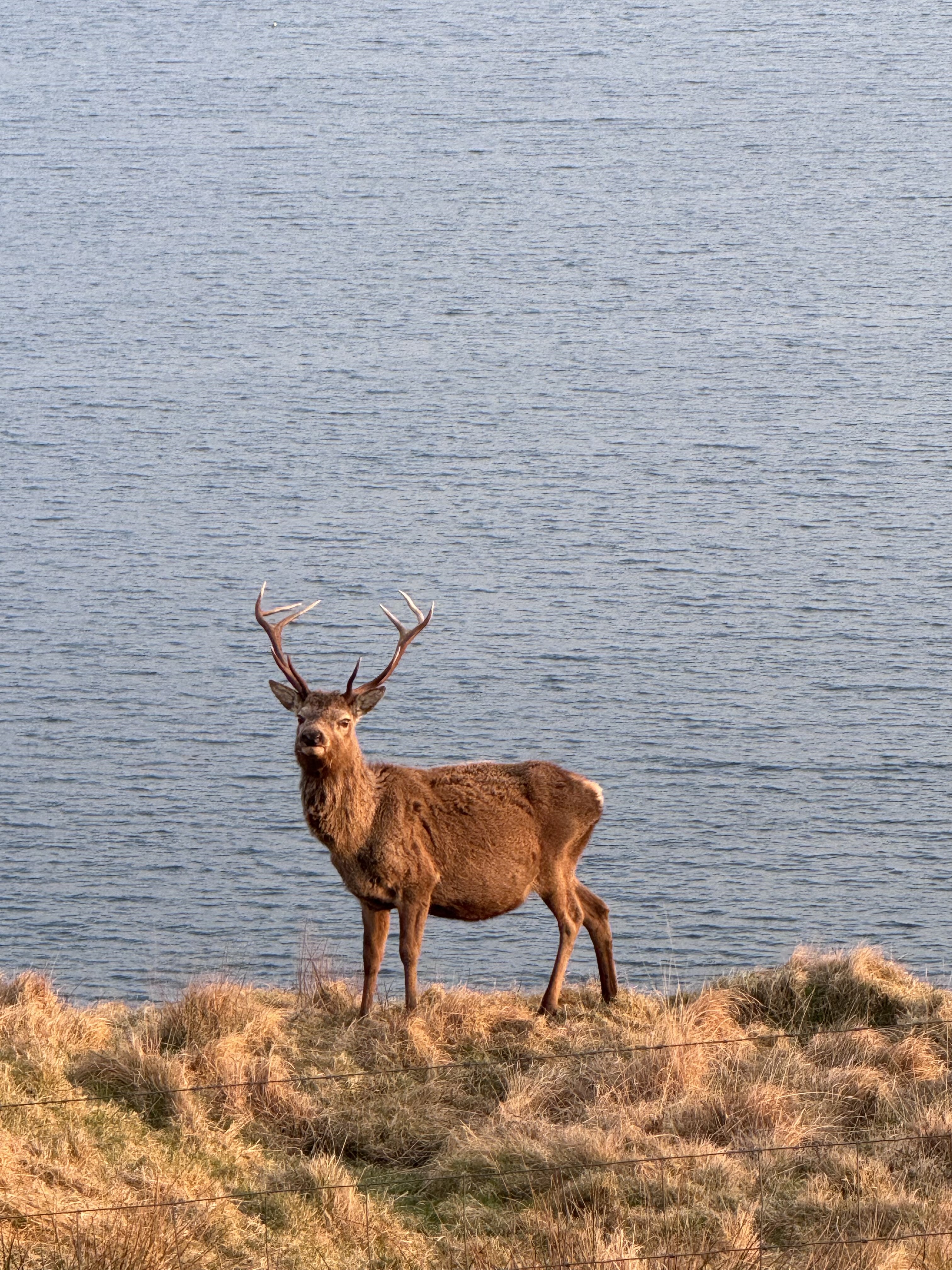 How a Day Trip to Harris Turned into a Three-Year Build