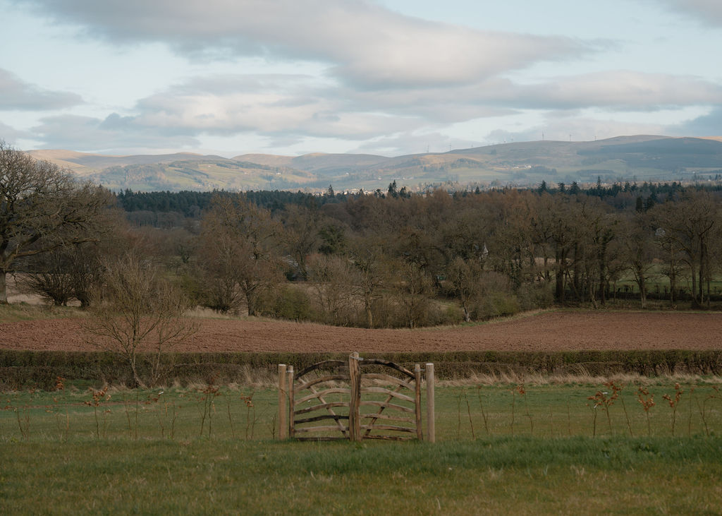 A House on a Hill, meet Cara of Whitehill Farmhouse