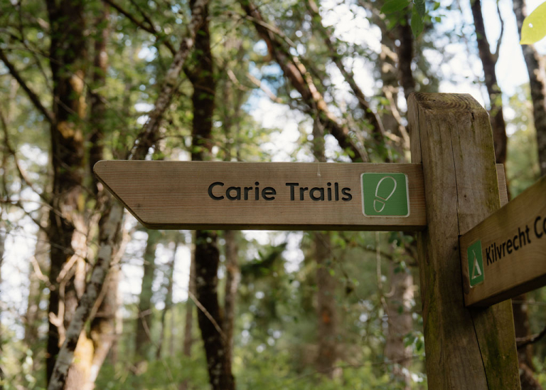 Carie Forest Walks