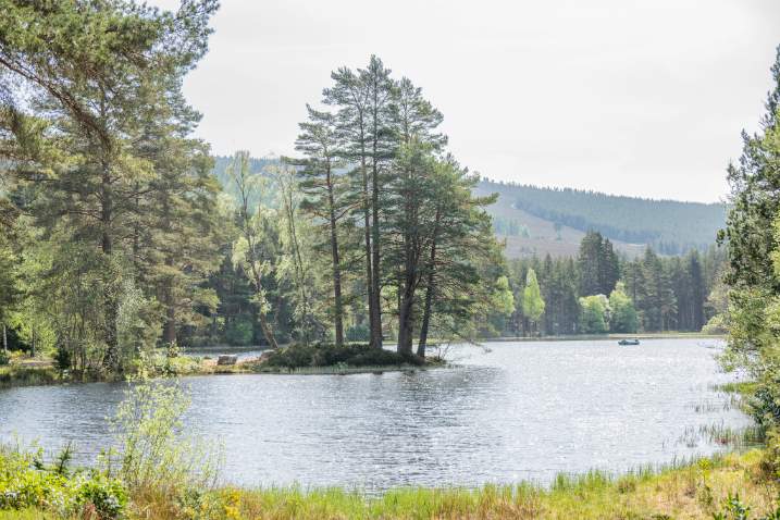 A small wooded island sits in a loch, pine trees reflected in the still water with hills beyond.