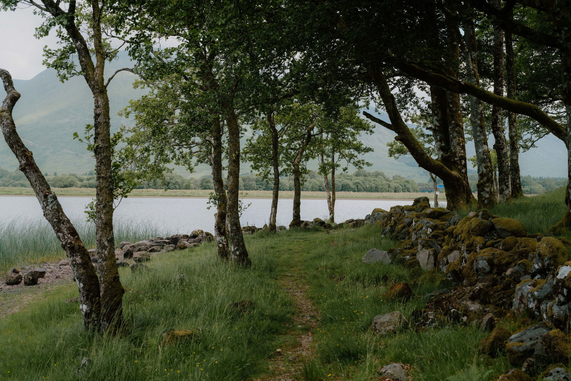 Kilchurn Castle Viewpoint