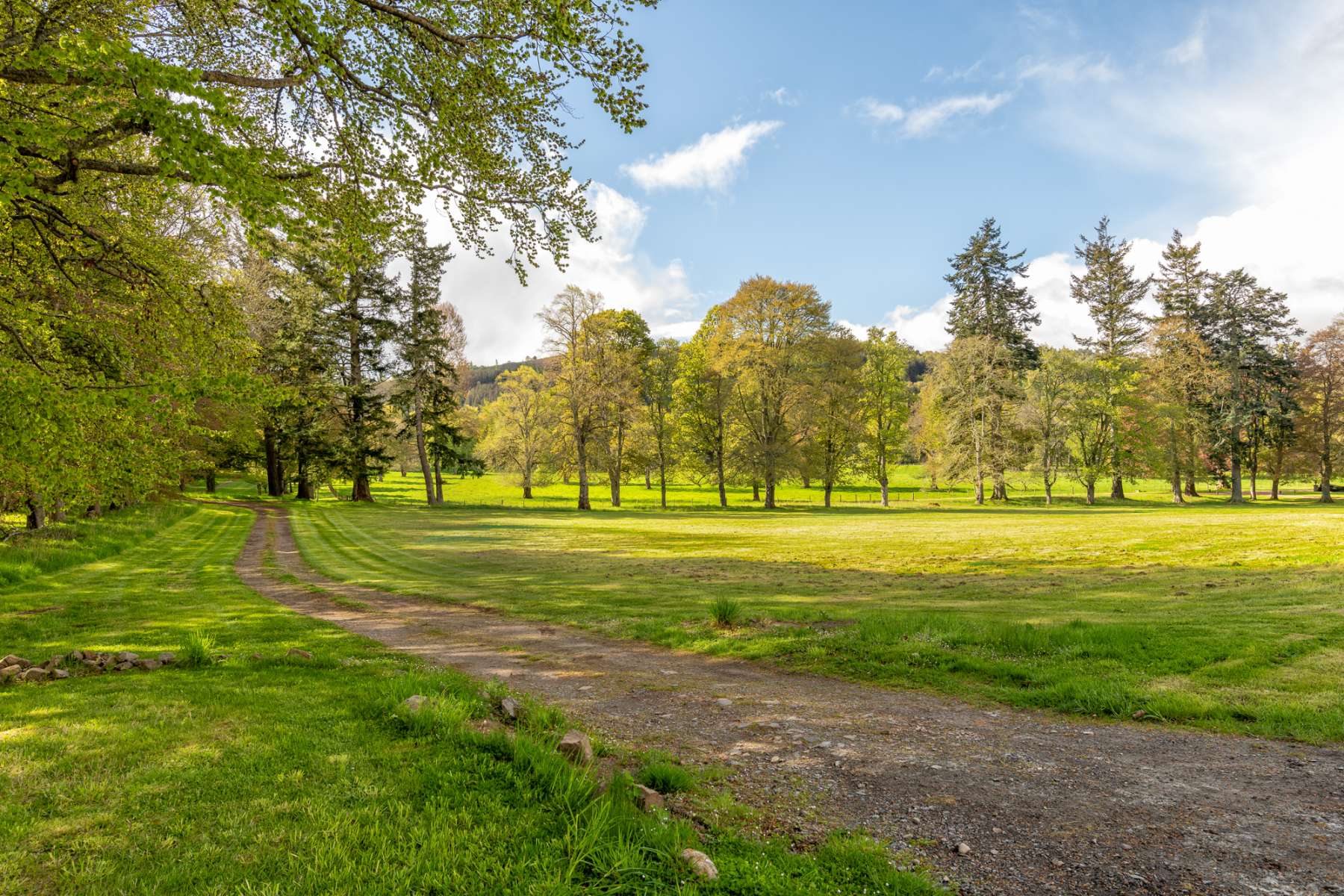 A gravel path winds through parkland dotted with mature trees under a blue sky.