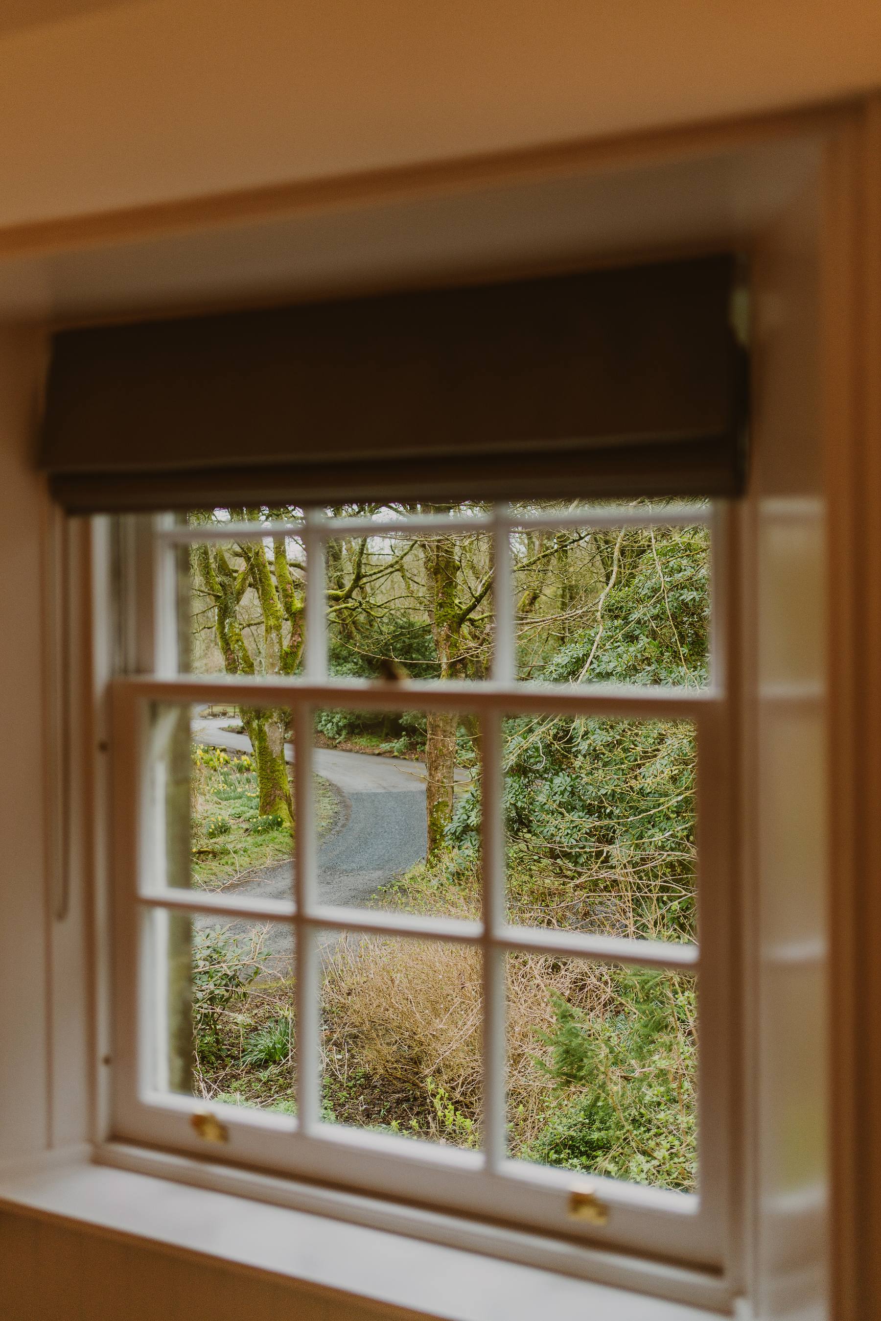 A paned window looks out over a gravel driveway curving through trees towards greenery beyond.