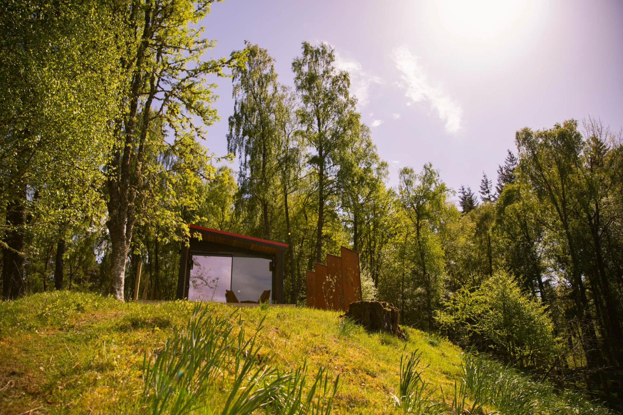 A dark timber cabin with glazed doors sits on a grassy bank among birch trees, a corten steel screen and tree stump beside it.