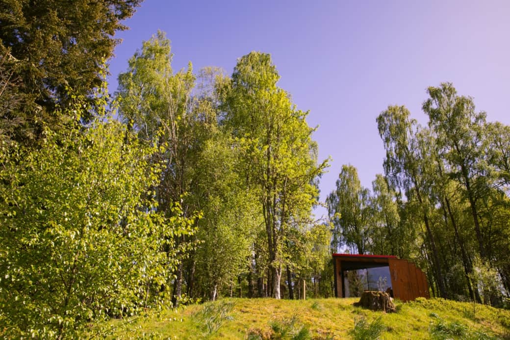 A dark timber cabin sits on a grassy knoll among tall birch trees under a clear sky, a log seat nearby.