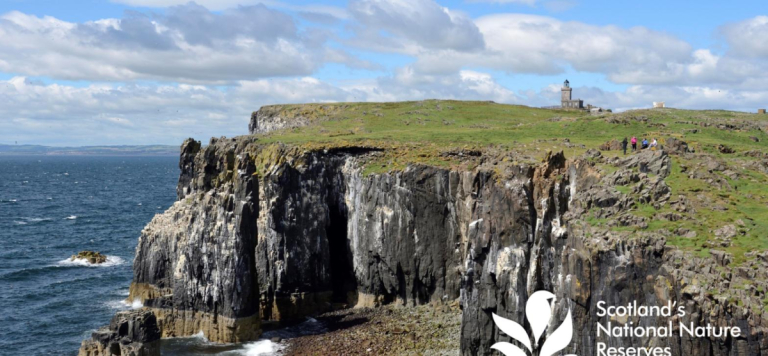 The Isle of May turns 70 as a National Nature Reserve