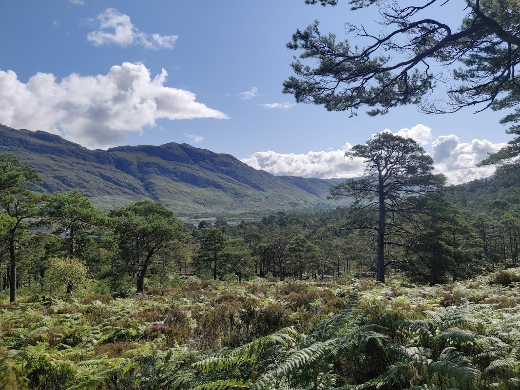Beinn Eighe National Nature Reserve Visitor centre