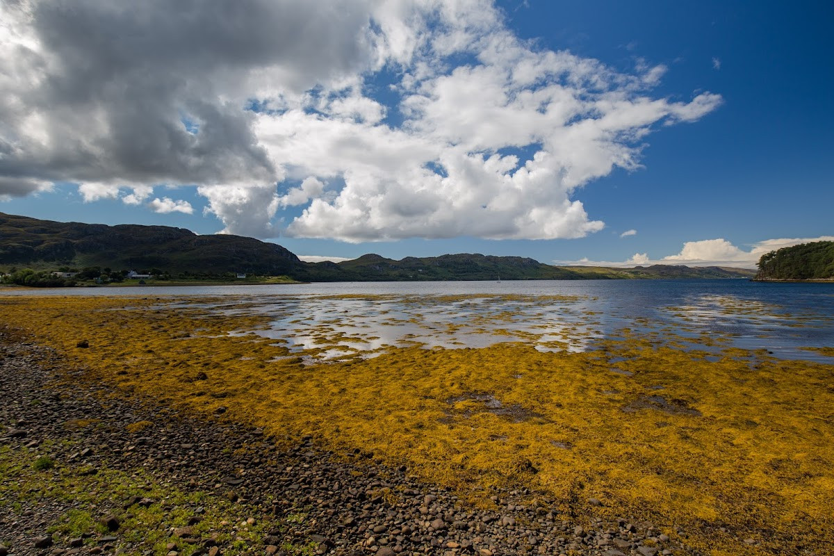 Loch Maree Viewpoint